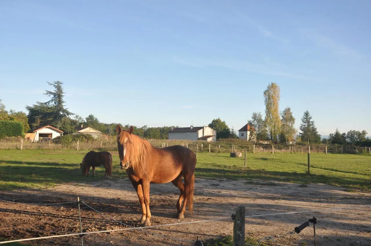 База отдыха Отель Nid Douillet Poncins Франция